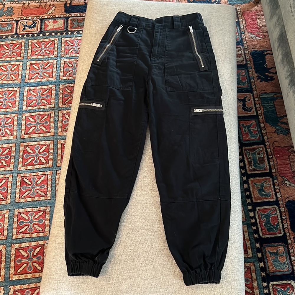 Aritzia cargo pants